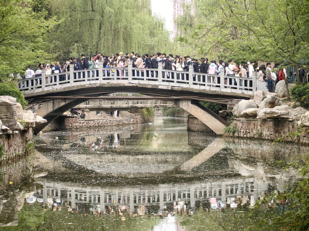 清明哪個(gè)景區(qū)看起來(lái)都像有1億人：天水、淄博受歡迎