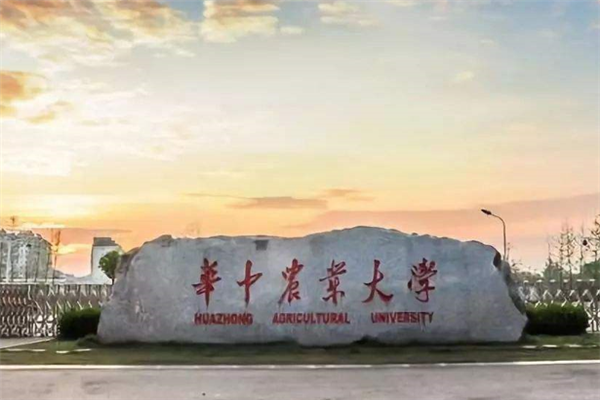 武漢211大學有哪些？2019武漢211大學名單排名榜 (7所)