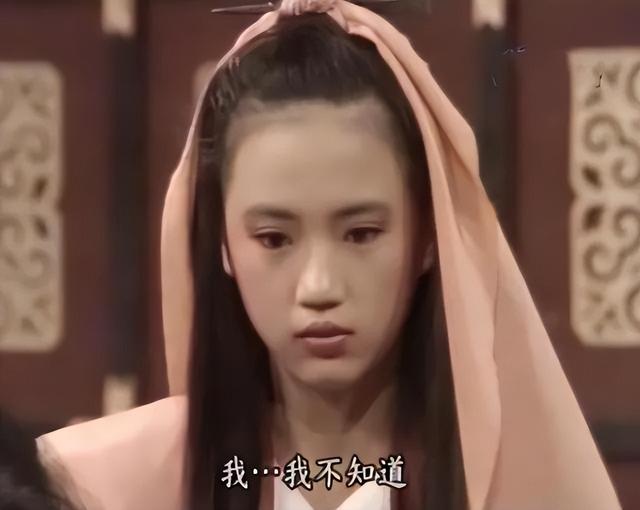 美尼姑 曾紅遍南北，搭檔梁朝偉，賈靜雯給她做配，卻突然出家（美尼姑曾紅遍南北）(11)