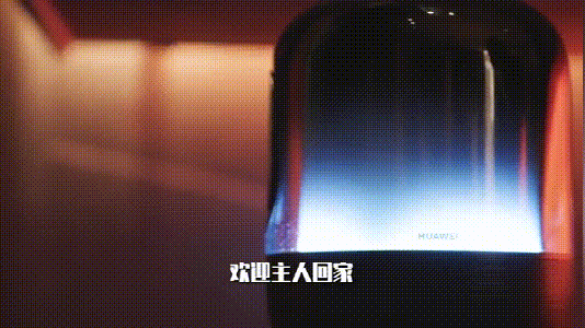 華為正式發(fā)布 打造 未來(lái)家 ，提升幸福感（華為正式發(fā)布打造）(13)