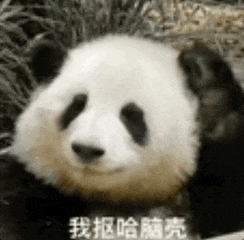 任天堂閃擊GitHub：一夜刪光8000多個模擬器代碼倉庫！