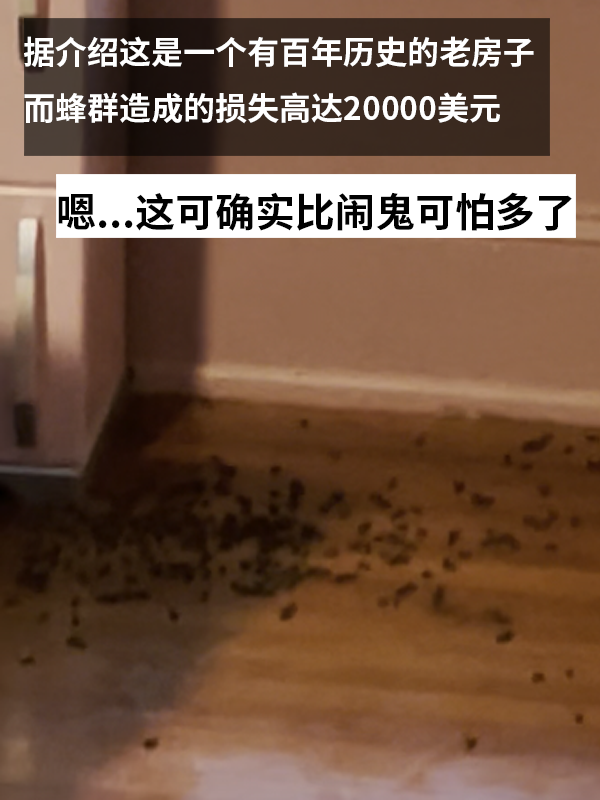三歲女孩總說墻里有鬼：專業(yè)人士來了也被嚇一跳！