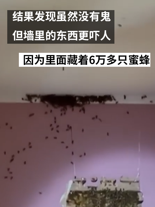 三歲女孩總說墻里有鬼：專業(yè)人士來了也被嚇一跳！