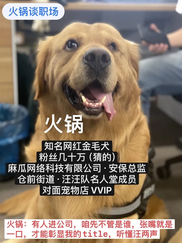 百度副總短視頻背后 其實(shí)還有個(gè)很深的套路