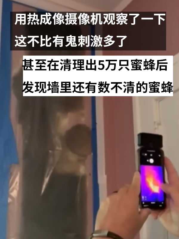 三歲女孩總說墻里有鬼：專業(yè)人士來了也被嚇一跳！