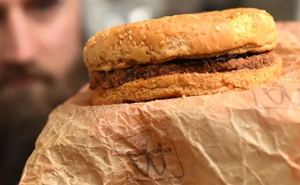 1995年的麥當勞漢堡至今不腐！這是吃了什么防腐劑？
