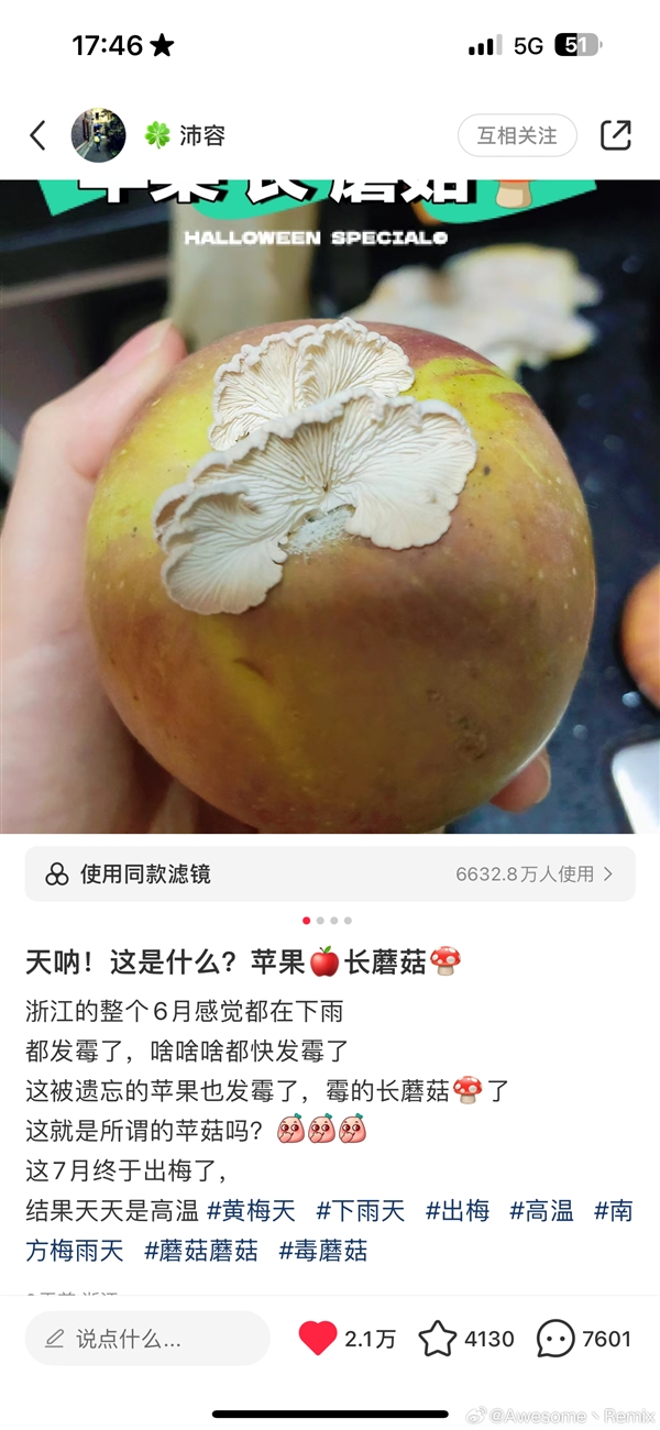 蘋果長(zhǎng)出大蘑菇 中科院專家千里求購后匯報(bào)研究進(jìn)展：白參在腐爛處生長(zhǎng)