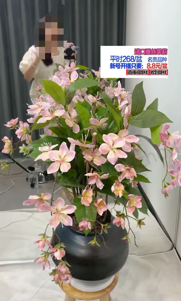 超大遙控車到手變迷你！微信嚴(yán)打視頻號(hào)帶貨虛假宣傳：嚴(yán)重者永封