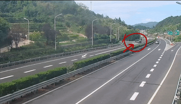 18年駕齡老司機(jī)高速掉頭逆行：車沒(méi)油了