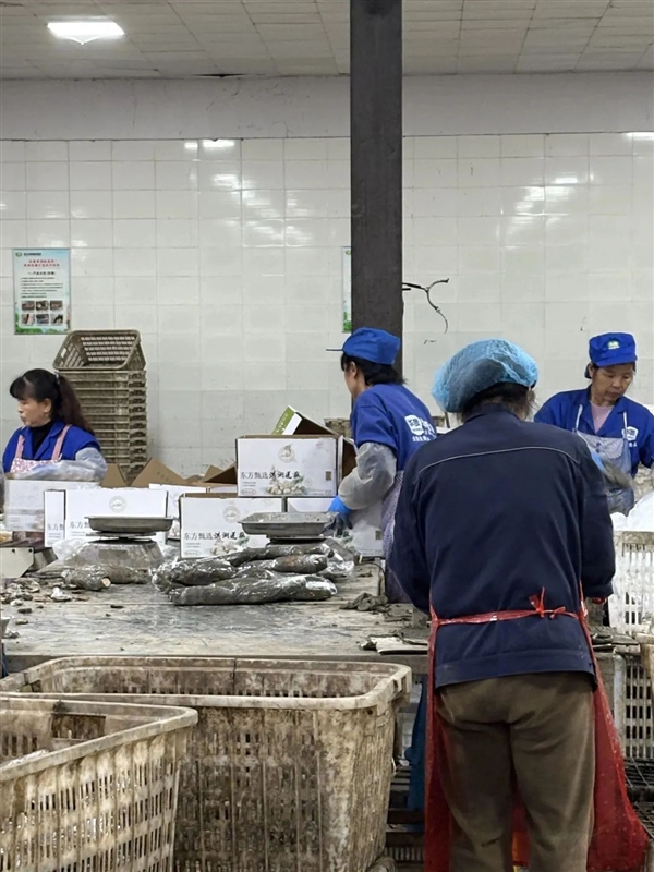 新疆的海鮮、甘肅的蝦 農(nóng)業(yè)大摸底太精彩了