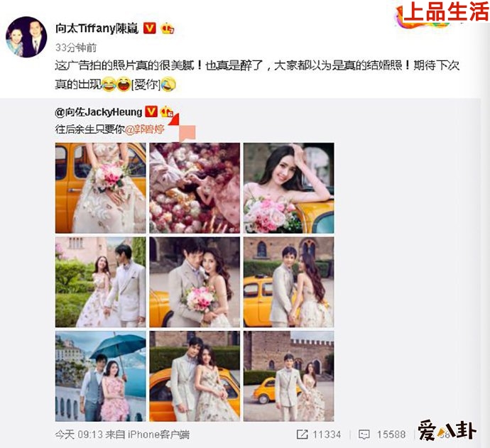 向佐郭碧婷兩人的結(jié)婚是假的？