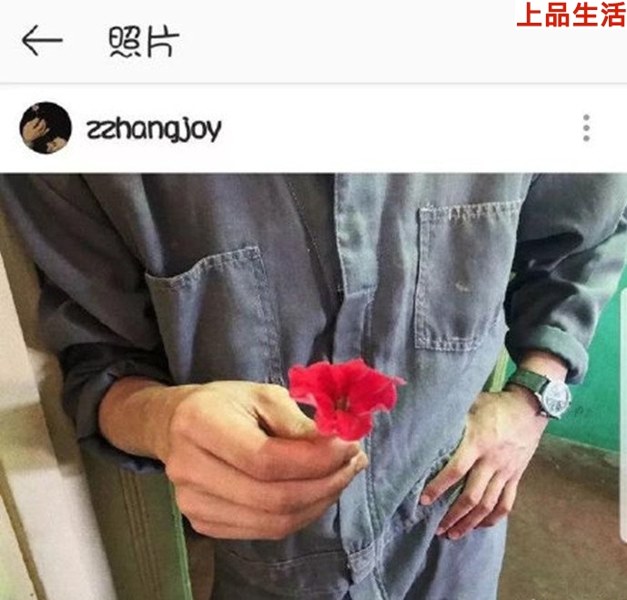 屈楚蕭張婧儀被爆在一起過？屈楚蕭與張婧儀個(gè)人資料被扒!